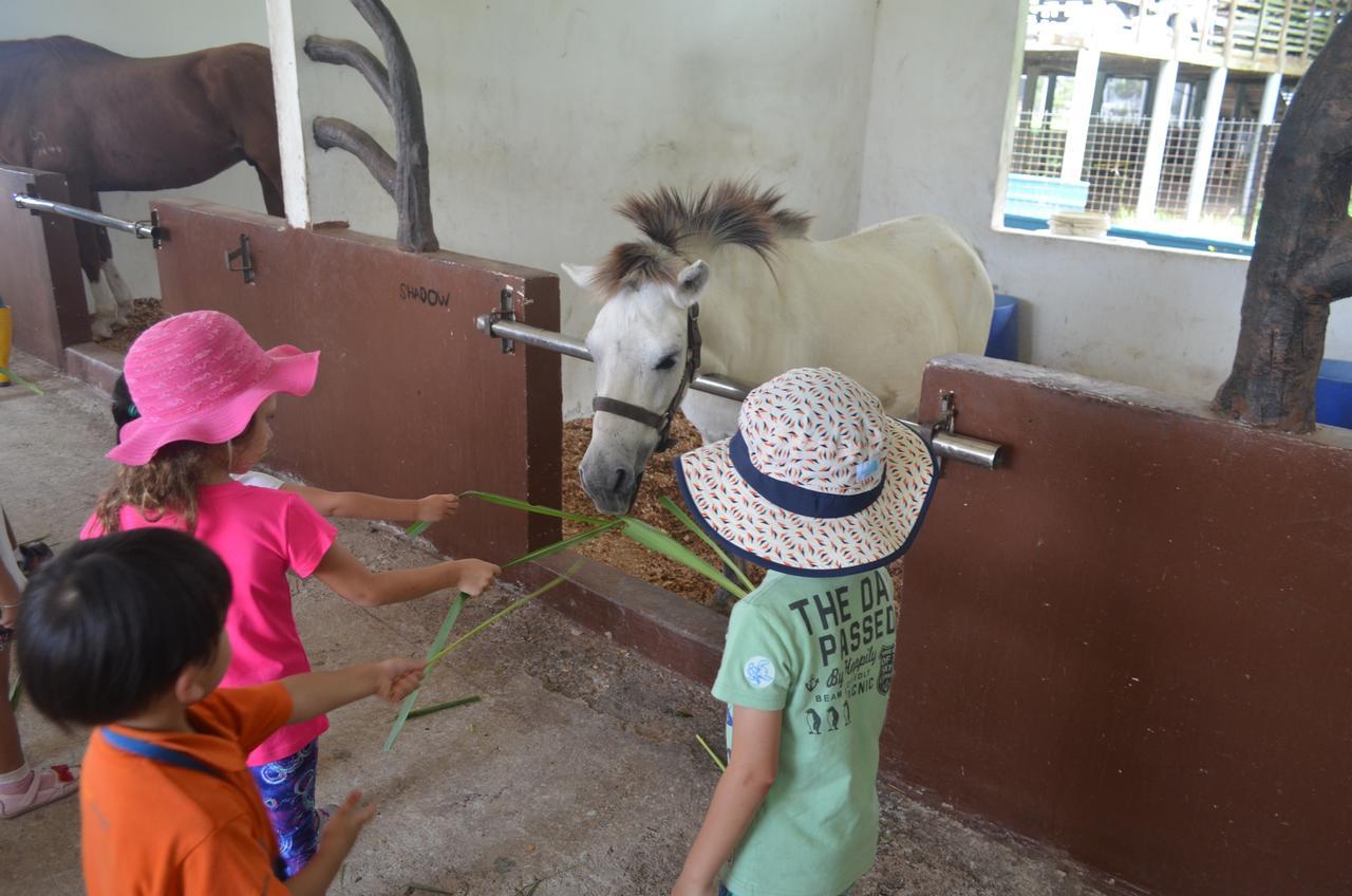 Sinar Eco Resort Kampong Bukit Panjang Εξωτερικό φωτογραφία