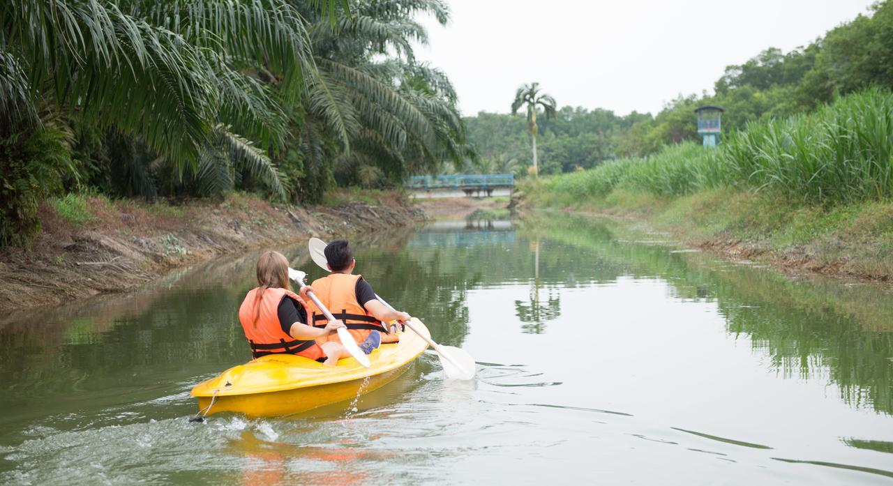 Sinar Eco Resort Kampong Bukit Panjang Εξωτερικό φωτογραφία